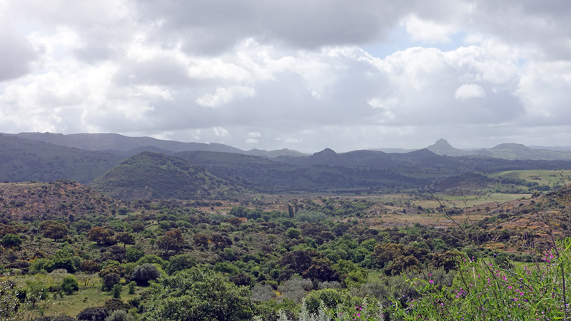 2016-05-01_110541 sardinien-2016.jpg - Fahrt von West nach Ost bers Hochland